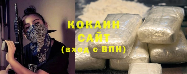 индика Белоозёрский