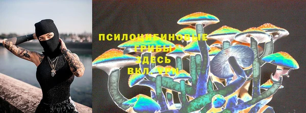 индика Белоозёрский