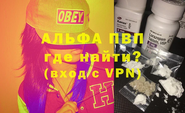 индика Белоозёрский